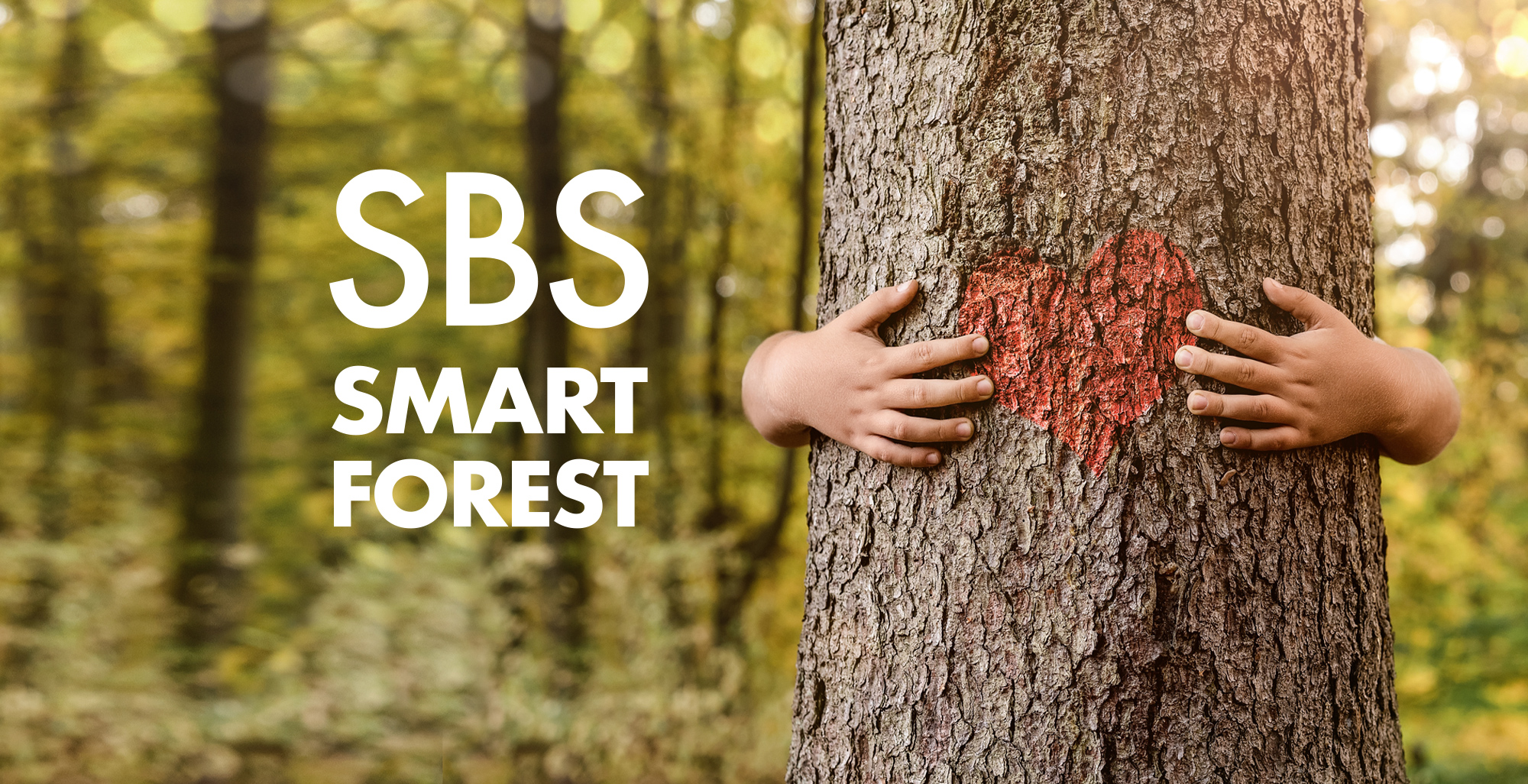 Our Smart Forest Continues to Grow